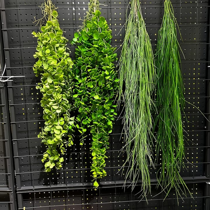 The Cascading Fern Vine