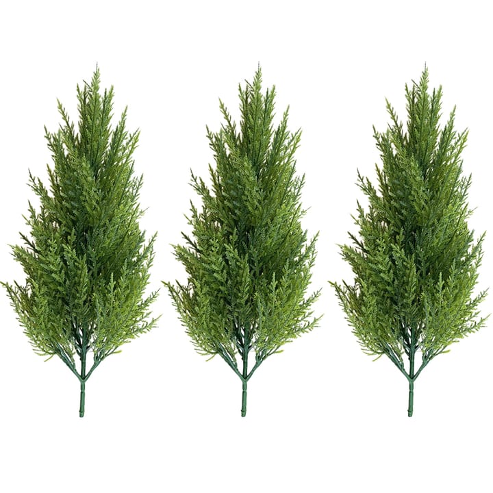 The Pine Bundle Trio, 3 stems