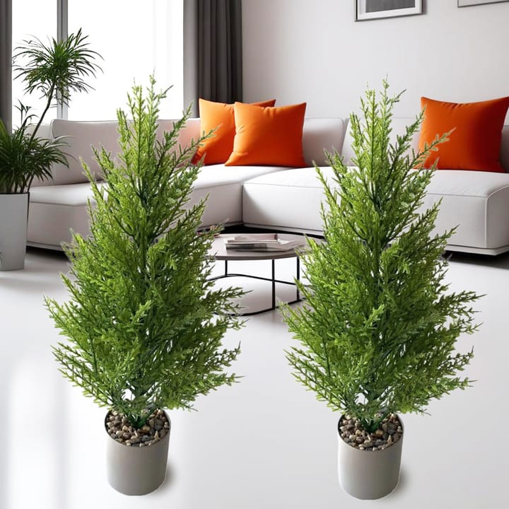 The Pine Bundle Trio