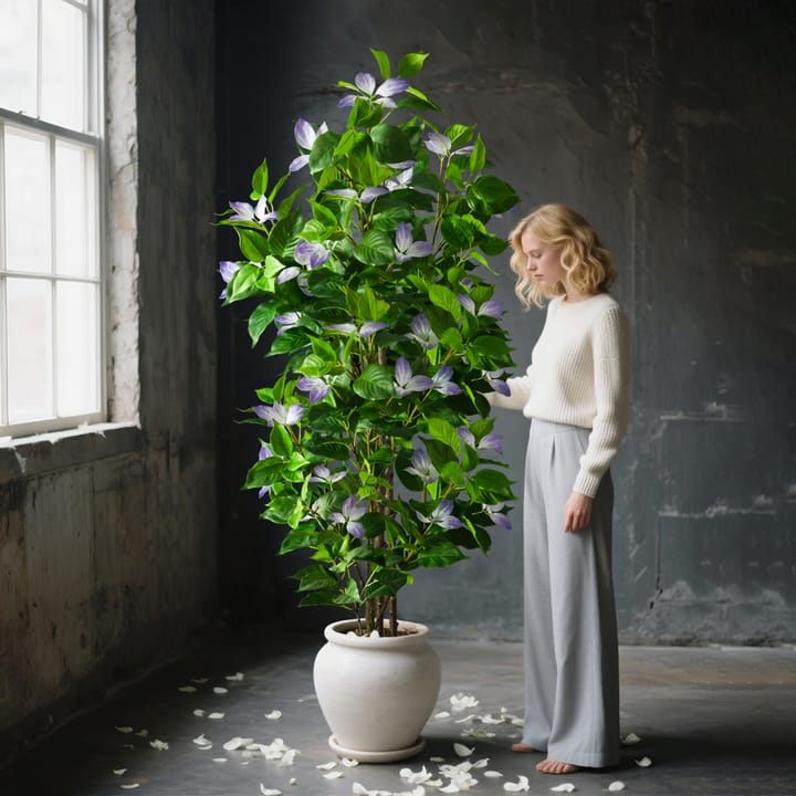The Ficus Leaf Study